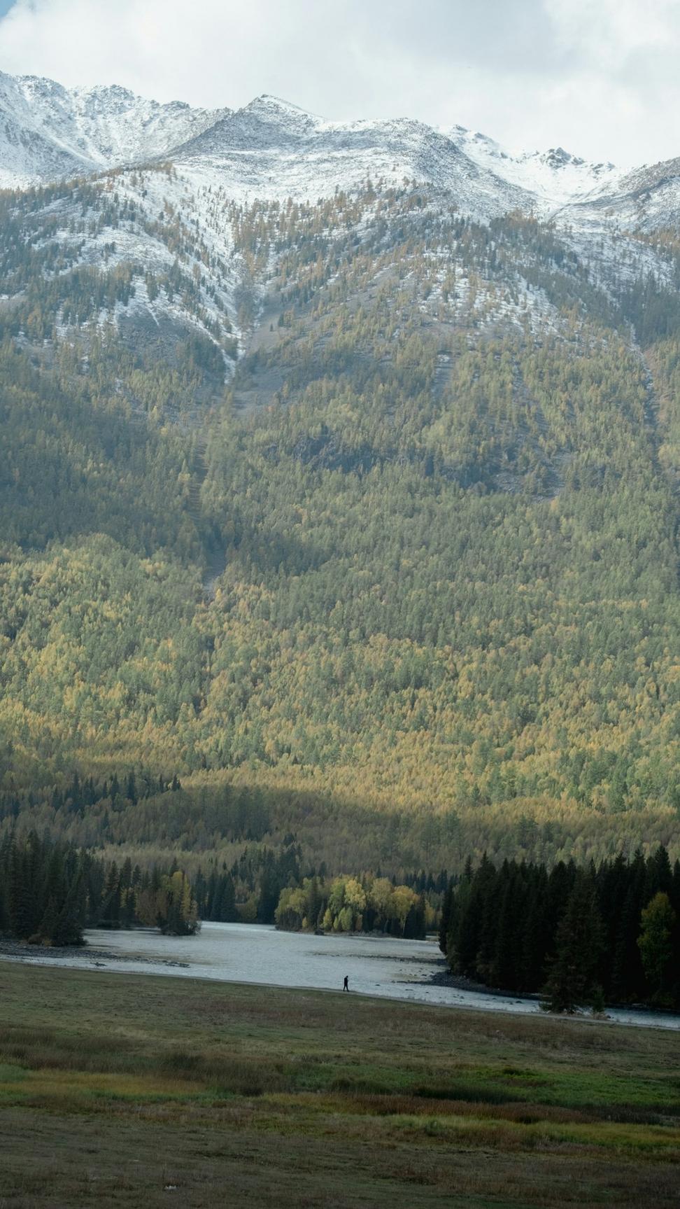 Northern Canadian Landscape